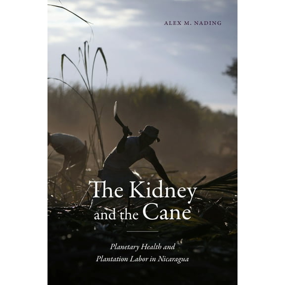 Critical Global Health: Evidence, Effica The Kidney and the Cane: Planetary Health and Plantation Labor in Nicaragua, (Hardcover)