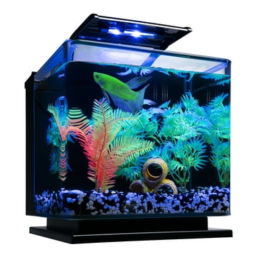 GloFish Betta Aquarium Kit 3 Gallons, Glass Tank Includes LED Lighting and Filter