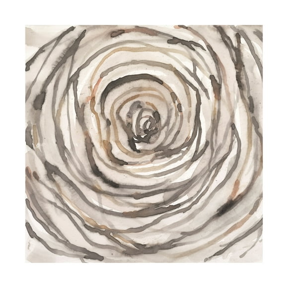 Samuel Dixon 'Twisted Branch I' Canvas Art