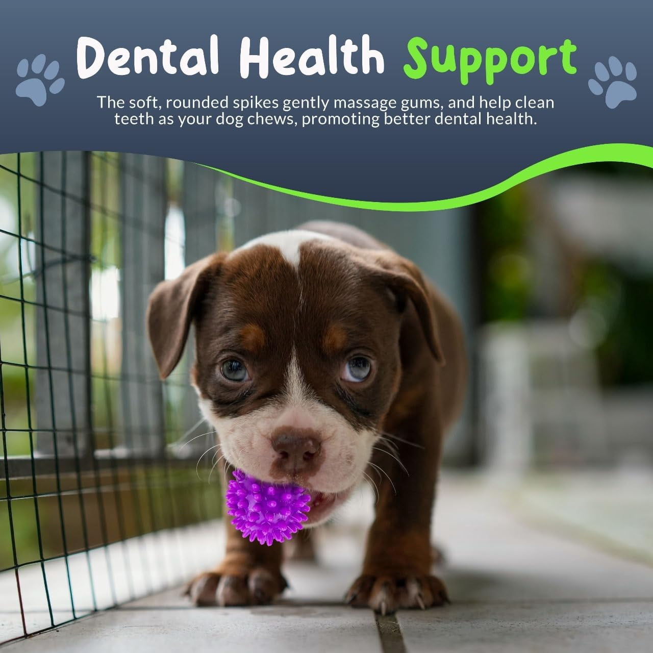 Spiky Dog Ball 1.8 Inch - Squeaky Textured Chew Toy for Small Dogs 4 Pack - Rubber Ball for Puppies, Aggressive Chewers, Gum Stimulation - Non-Toxic