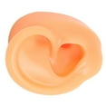 thumbnail image 3 of Faux Modèle d'Oreille, Modèle d'Oreille Humaine Professionnelle Flexible Réutilisable pour l'Affichage des Boucles d'Oreilles Gauche, Droite, 3 of 8