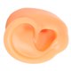 thumbnail image 3 of Modelo de oreja de silicona, oreja derecha Flexible suave, modelo de oreja humana reutilizable para perforación de oreja, exhibición de pendientes de entrenamiento, 3 of 8
