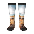 thumbnail image 2 of Lsque Surfing Cat Sun Printed Crew Socks Men's Women's LightWeight Thin Casual Calf Socks ,Knee High Socks,Cotton Socks, 2 of 9
