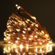 thumbnail image 3 of 12V LED String Light with Remote Dimmer 10m 20m 30m 300 LED Fairy Lights Warm White RGB US EU UK AU Kit Christmas Wedding Decor, 3 of 5