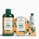 thumbnail image 2 of Gel de ducha The Body Shop Satsuma 250 ml, 2 of 2