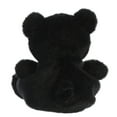 thumbnail image 3 of Aurora - Palm Pals - 5" Sleepy Bear, 3 of 3