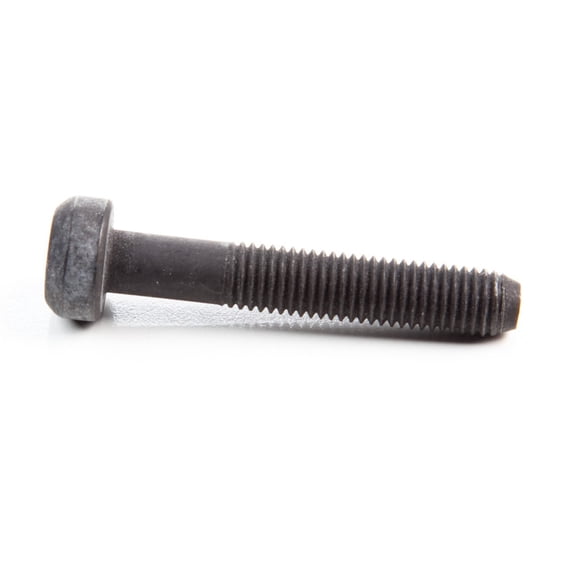 Briggs & Stratton Screw | 791118
