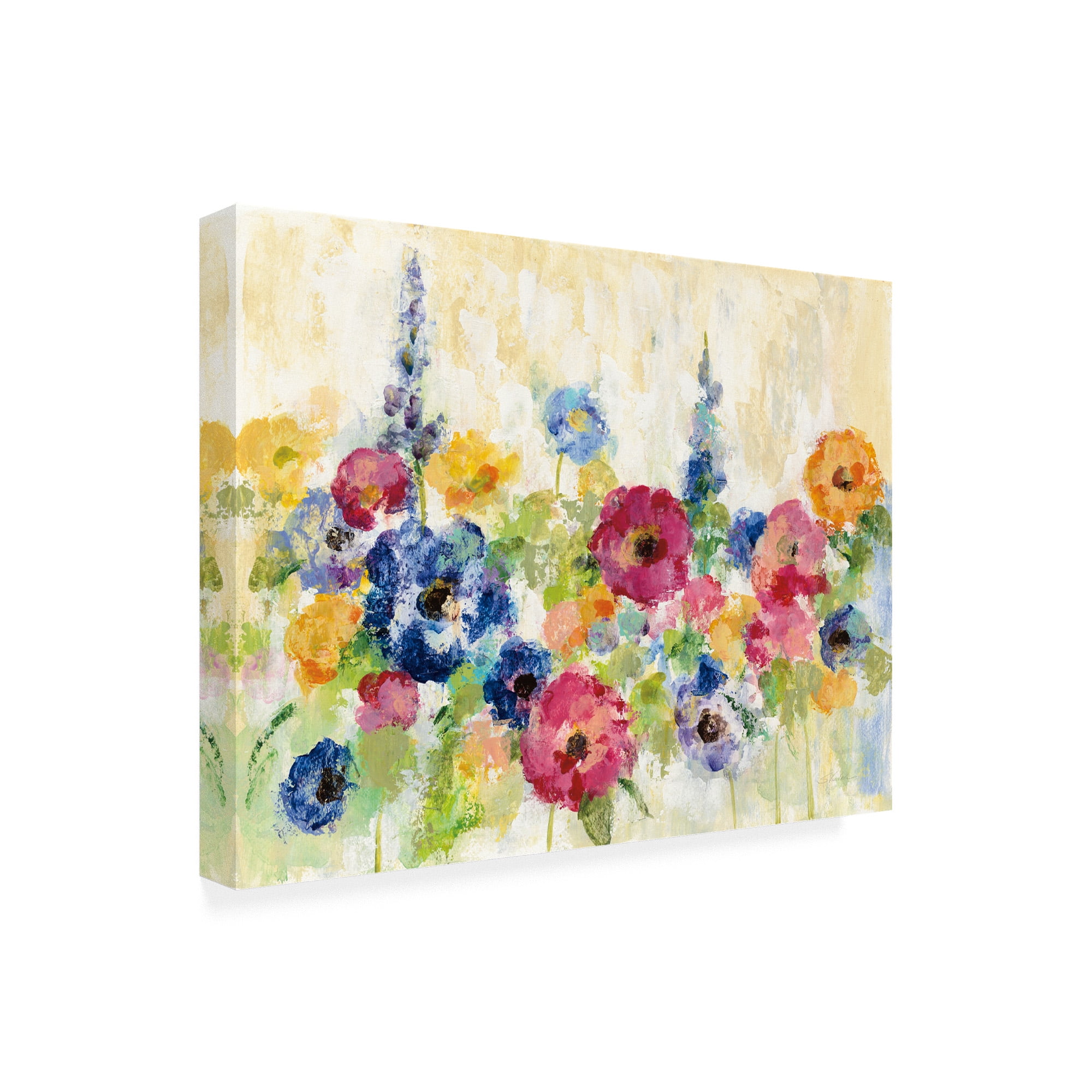 Trademark Fine Art 'Sunshine Field Flowers' Canvas Art by Silvia Vassileva