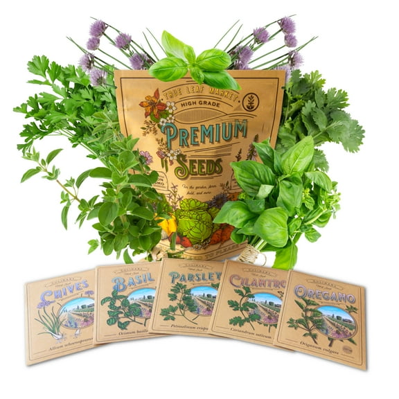Essential Culinary Herb Garden Seed Collection - Basil, Chives, Cilantro, Parsley, and Oregano Seeds for Planting - ~2,300 Non-GMO, Heirloom Seeds - Charmingly Packaged Herb Seed Variety Pack