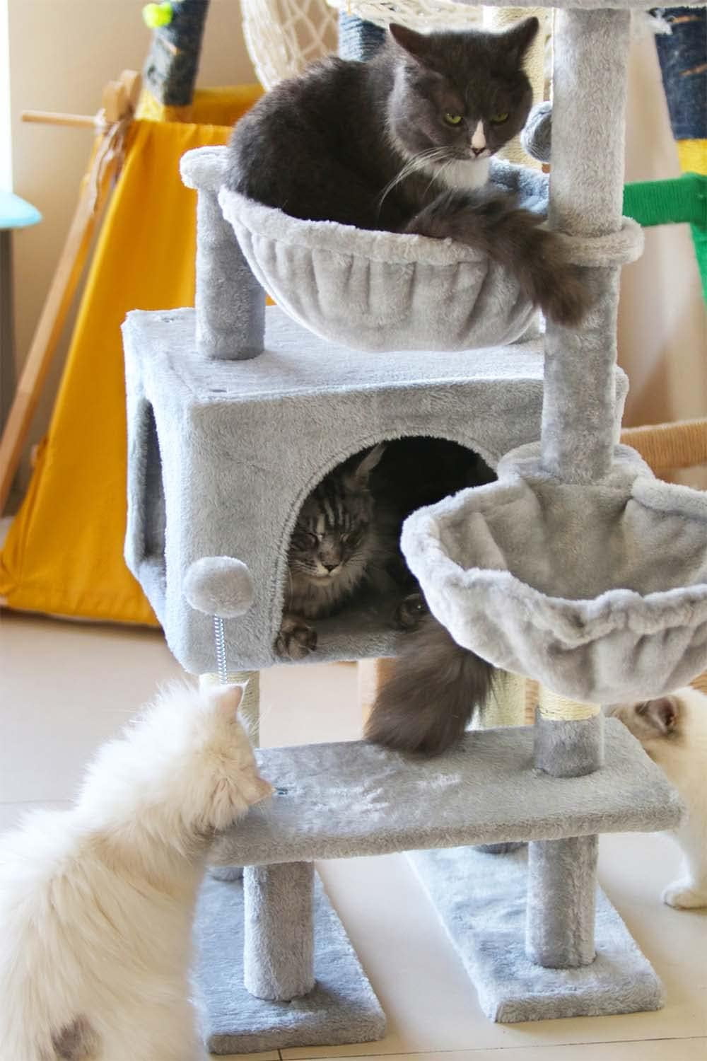 Cat Tree Cat Tower Condo with Sisal Scratching Post for Indoor Cats Cat Tree Cat Furniture with Hammock Perch and Kitten Ball Toys