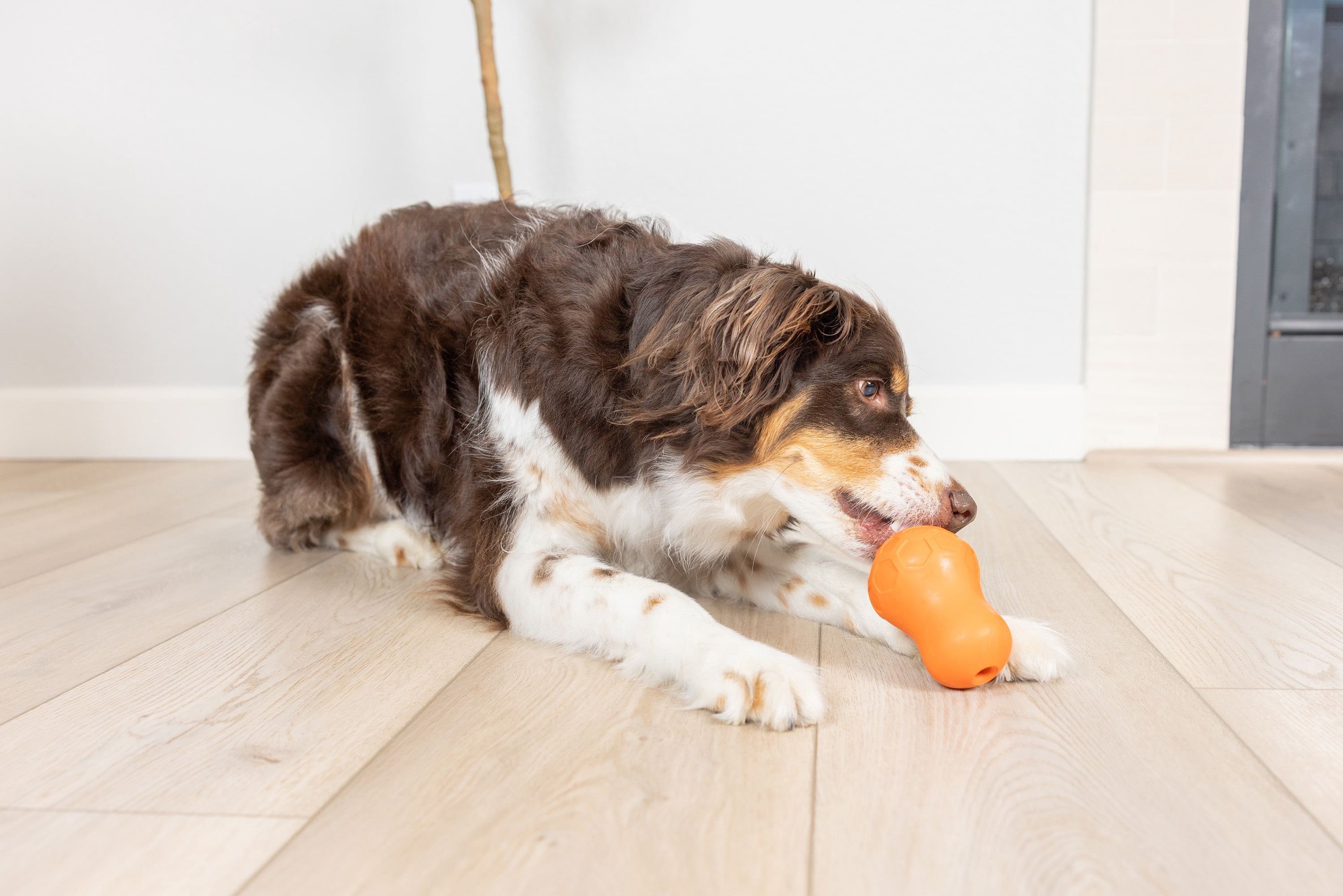 Chuckit! Tumble Teez Dog Treat Puzzle Toy, Medium, Orange – Treat & Chew Puzzle Pod for Dogs 20–60 lb, Pack of 1