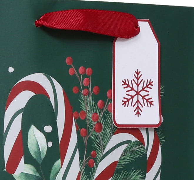 Holiday Time Green and Red Christmas Paper Gift Bag, Medium, HOLIDAY TIME PL CANDYCANE GIFT BAG