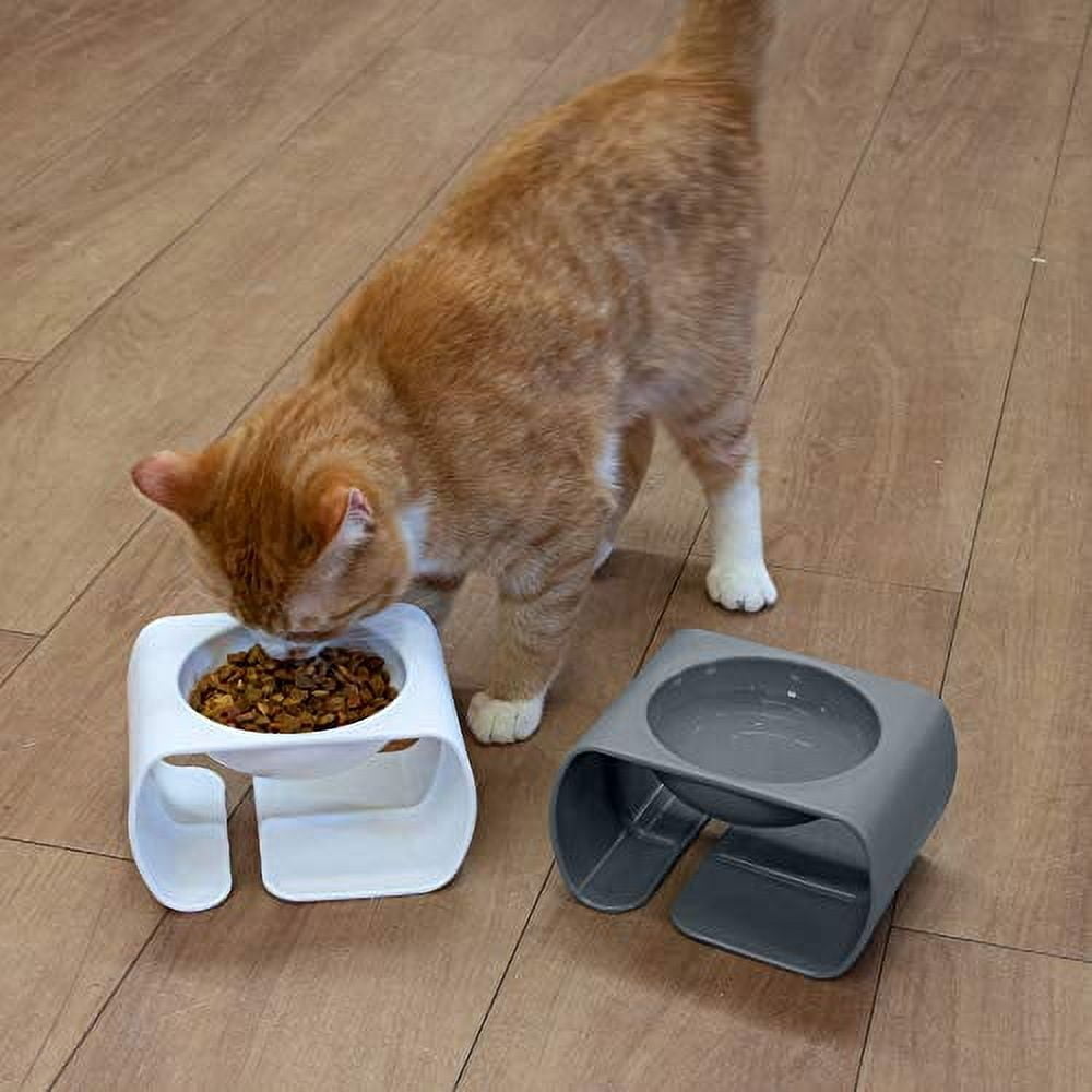 Kitty City Dishwasher Safe Plastic Raised Whisker-Friendly Cat Bowls, Multicolored, 2 Pack Set