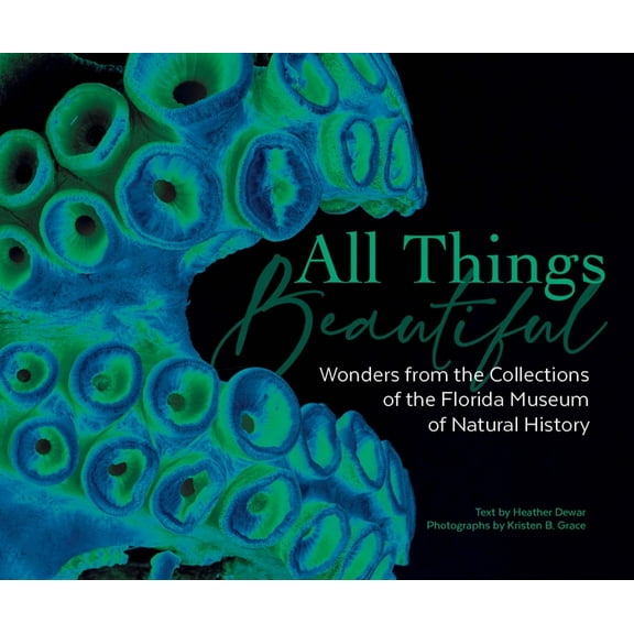 All Things Beautiful: Wonders from the Collections of the Florida Museum of Natural History, (Hardcover)