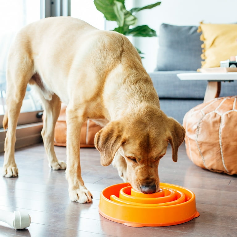 Outward Hound Fun Feeder Slo Bowl, Large, 4-Cup, Orange Swirl photo 6