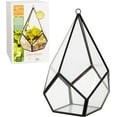 thumbnail image 2 of D'Eco Glass Geometric Plant Terrarium (5.7x5.7x7) Indoor Table Top & Hanging Teardrop Planter - Succulents, Air Plants, Moss- Home, Garden, Wedding & Office Decor- Gift for Plant Lovers, 2 of 3