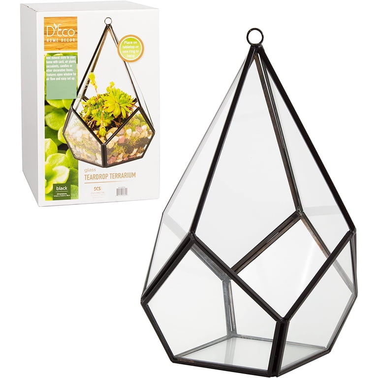 Glass Tear Drop Terrarium, Succulent & Hanging Air Plant