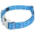 thumbnail image 3 of Country Brook Petz® Premium Mermaid Scales Dog Collar and Leash, Medium, 3 of 6
