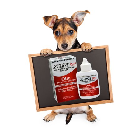 Zymox plus Advanced Formula Otic Enzymatic Solution Hydrocortisone 1% For Cats & Dogs Ear Cleaner 1.25Fl.Oz