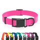 thumbnail image 1 of Collar impermeable para perros, de goma, con cierre rápido, 1 of 6