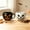 Halloween Pumpkin Mug, variant on ALOFMO Halloween Ghost Stoneware Mugs Set of 2, 14OZ Matte Black Spooky Ghost Coffee Cups, Microwave & Dishwasher Safe Holiday Drinking Mugs