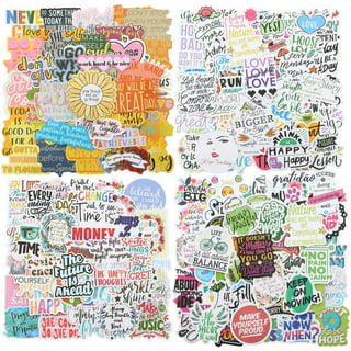 100 Pcs Waterproof Aesthetic Stickers Pack Vinyl Stickers Decals for  Skateboard, Luggage, Water-Bottle, Chromebook Emlimny