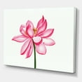 thumbnail image 3 of Designart ' Ancient Detail of A Pink Lotus ' Traditional Canvas Wall Art Print, 3 of 4