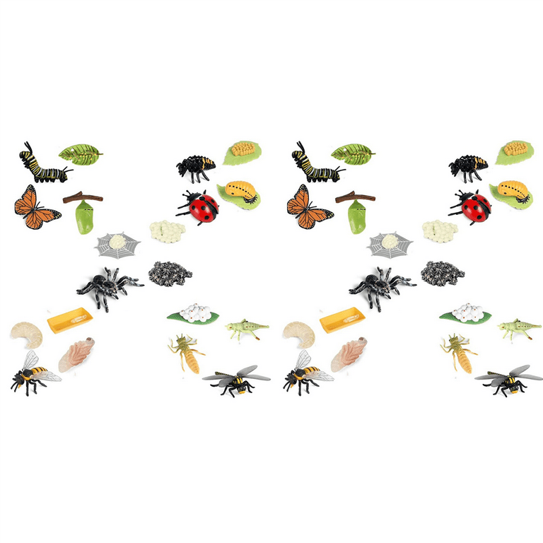 昆虫 Insect Ladybird dragonfly bee 10点 579 昆虫 Insect Ladybird dragonfly bee 10点 579