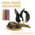 thumbnail image 3 of 6-Piece Natural Flower Petal Chew Sticks for Rabbits Chinchillas and Guinea Pigs, 3 of 7