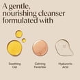 thumbnail image 2 of Limpiador espumoso Aveeno Calm + Restore para pieles sensibles, 230 ml, 2 of 8