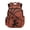 Cartoon Dinosaur, variant on Chririnla Lightning Dinosaur Teen Kids Backpack for Girls Large Capacity Schoolbag Elementary School Bookbag Lightweight Daypack for Back to School