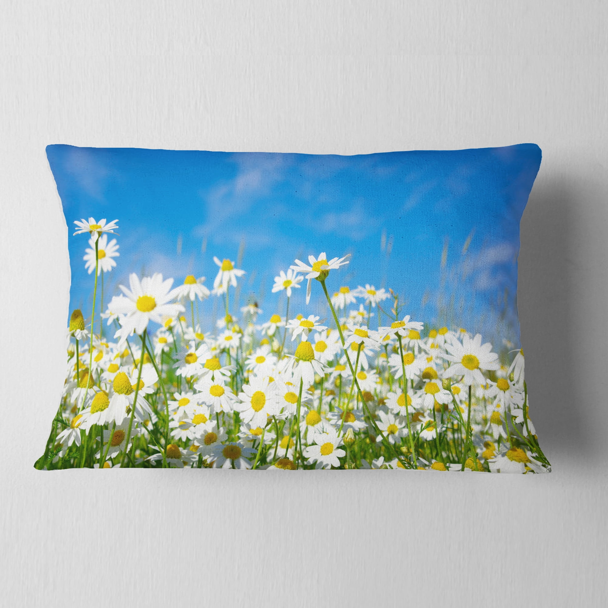 Designart White Daisies under Bright Blue Sky - Floral Throw Pillow - 12x20