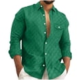 thumbnail image 2 of Blusa y camisa de manga larga con cuello vuelto para hombre Camisa a cuadros de manga larga con cuello vuelto Camisa de manga larga con solapa para hombre Blusa de poliéster para hombre, 2 of 6