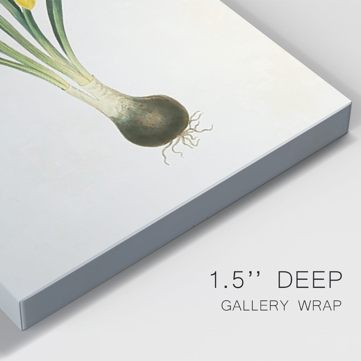 Flowers of the Seasons VI Premium Gallery Wrapped Canvas - Ready to Hang