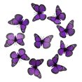 thumbnail image 2 of YAOMOBB Anti-slip Refrigerator Magnet Realistic 3D Magnets Set for Fridge Decoration (10 Pcs), 2 of 7