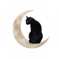 thumbnail image 1 of Letrero de metal colgante con forma de luna y gato negro Letrero de metal colgante con forma de luna y gato negro Arte de pared de metal Campana de viento colgante, 1 of 5