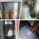 thumbnail image 5 of Pegamento impermeable para reparación de metales epoxi - Adhesivo resistente a altas temperaturas para soldadura, automoción, fontanería e industriales, 5 of 9