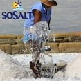 Coarse Sea Salt, SoSalt, Sicilian, 27.56 lbs (12.5 kg) Bulk