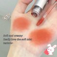 thumbnail image 5 of Brillo de labios líquido mate, lápiz labial duradero, resistente al agua, tubo de plata, terciopelo, niebla, pigmento de esmalte de labios, tinte de labios, Cosméticos de maquillaje, 5 of 5