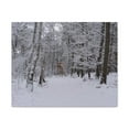 thumbnail image 4 of Forest Winter Tree Snow Nature Wilderness Photography Canvas Wall Art for Home Decor Ready-to-Hang, 4 of 18
