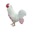 thumbnail image 2 of Pañal para mascotas, pollo, pato, ganso, pañal para excrementos de pollo, ropa para ganso y pato, limpieza de pañales, 2 of 5