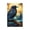 No Device Blank, variant on Raven Moonlight Starry Art Single Gang Wall Plate 1 Gang Decorative Electrical Outlet Light Switch Cover Switchplate