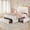 White, variant on Platform Bed Twin Size with Storage Drawers and Headboard,, Twin Size Velvet Upholstered Bed with RGB Lighting and Power Outlet, No Box Spring Needed, Noise-Free, White