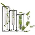 thumbnail image 1 of Elegant Water Planting Flower Arrangement, Adjustable Design With Iron Frame, Creative Desktop Planter For Home Decoration And Air Purification In Office Bedroom, 1 of 8
