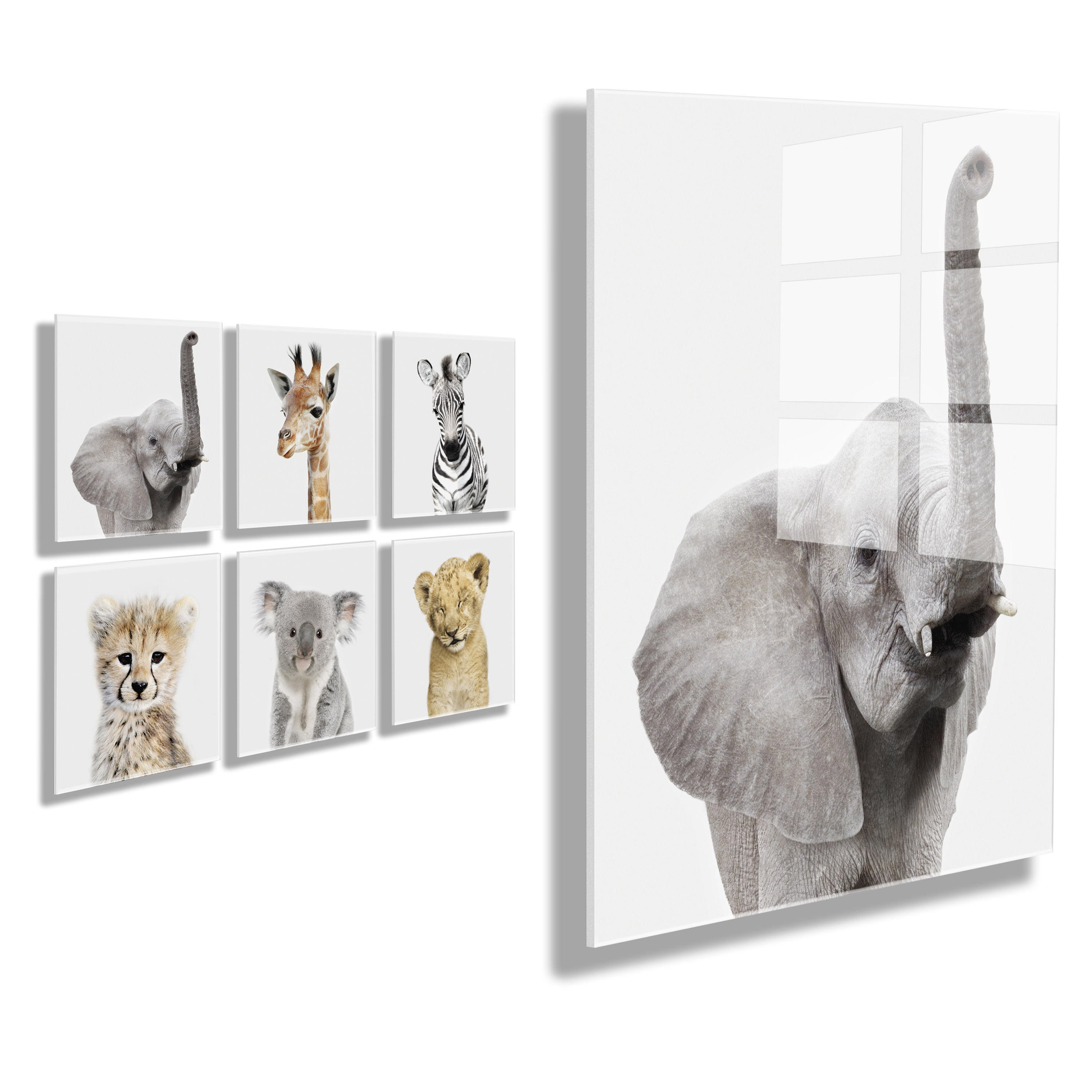 Kate and Laurel Safari Animal Collection Floating Acrylic Art Set by Amy  Peterson Studio Set of 6, 10x10 Assorted No-Tools Hanging Wall Decor