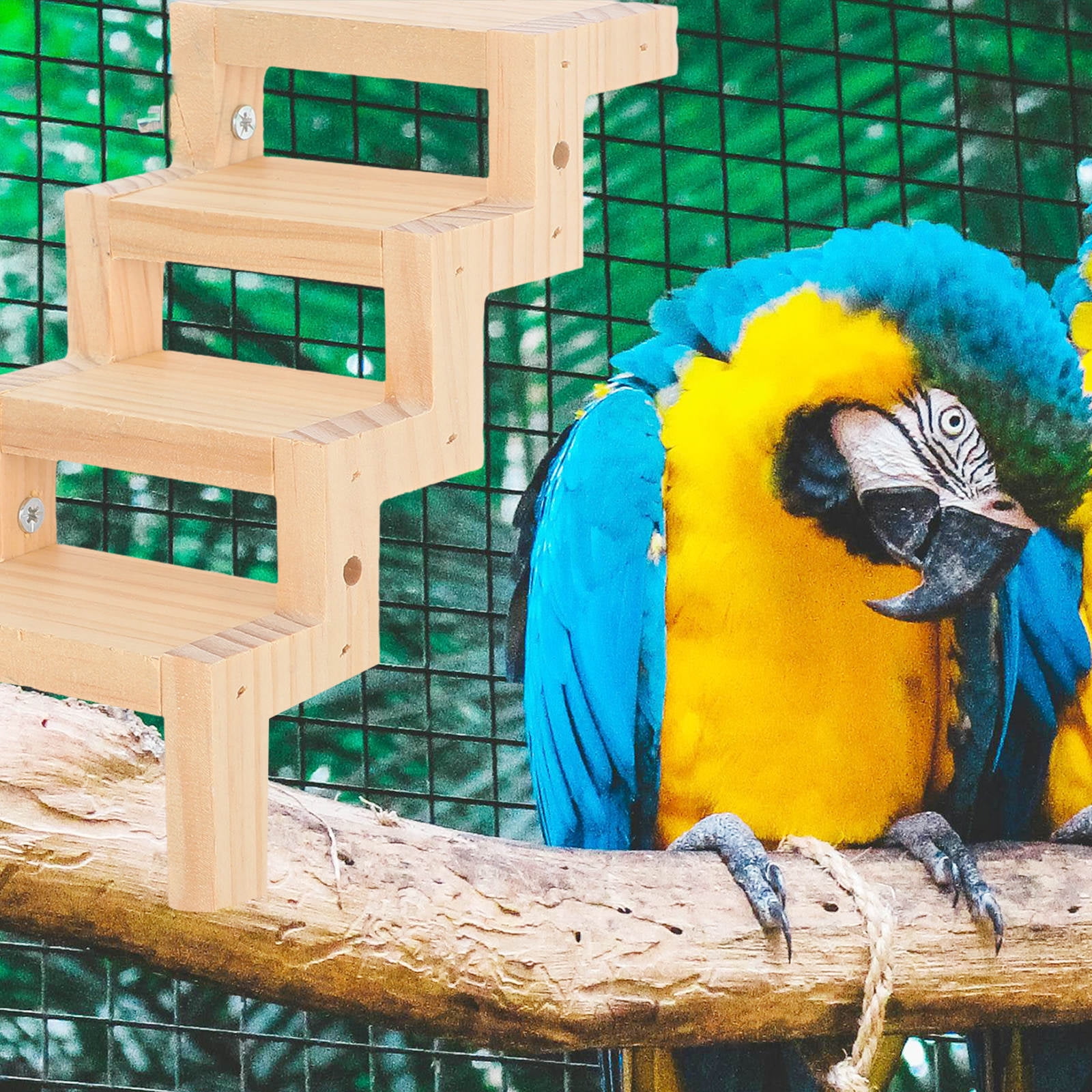 HINTRMENT Bird Ladder for Cage Wooden Bird Ladder Multi 1Set for Bird Cage Accessories