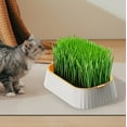 thumbnail image 6 of Ohmyroo Double Layer Soilless Grass Grower Tray for Home Gardening Use Wheatgrass Planting Container Pet Supplies Nursery Box Needs, 6 of 7
