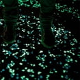 thumbnail image 3 of 200 PCS Large Glow in the Dark Stones, Luminous Pebbles Stones Glowing Rocks Decorative Light Up Pebbles Fitting for Fish Tank/Outdoor Garden Decor/Yard/Walkway(Blue), 3 of 7