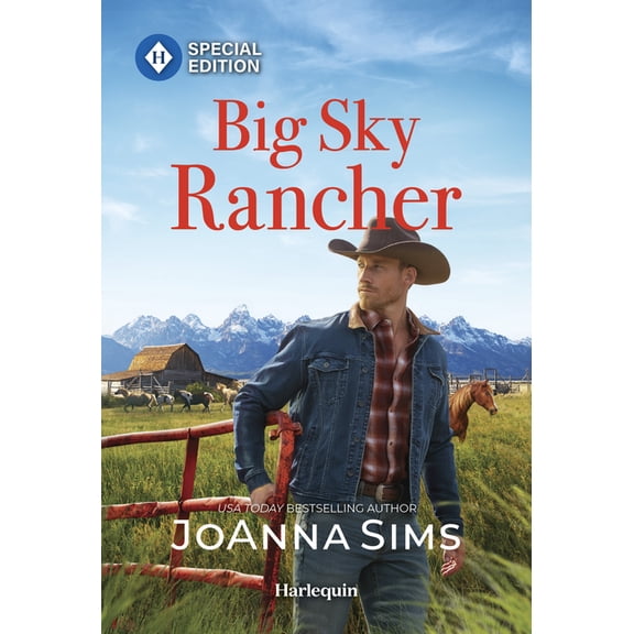Big Sky Rancher, (Brands of Montana, Book 18)