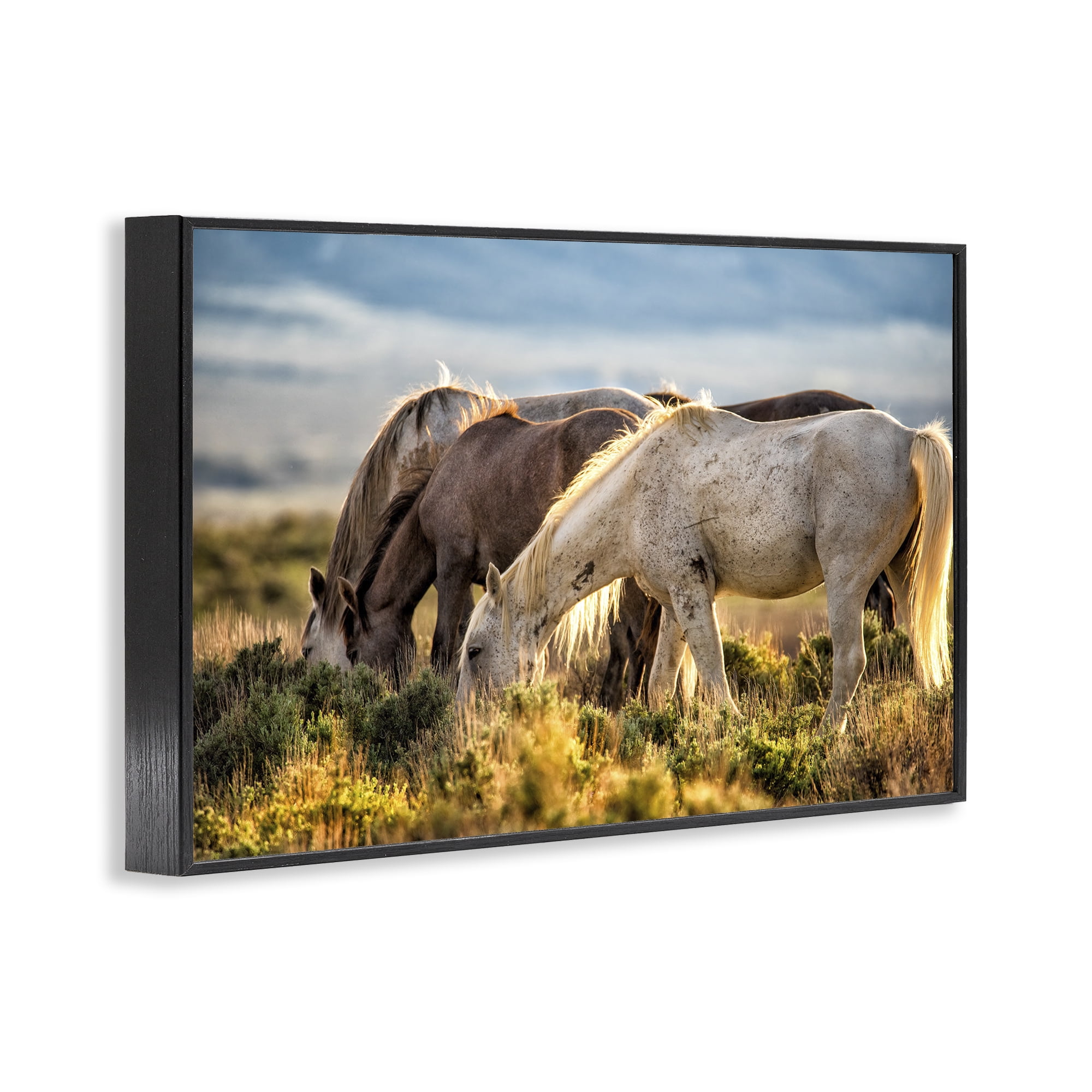 Stupell Industries Equine Evening Graze Black Framed Giclee Art, design by Tim West